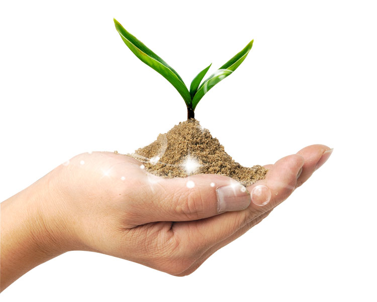 Enterprise and Small Business